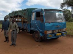 Transport van de dieren naar Chisenga